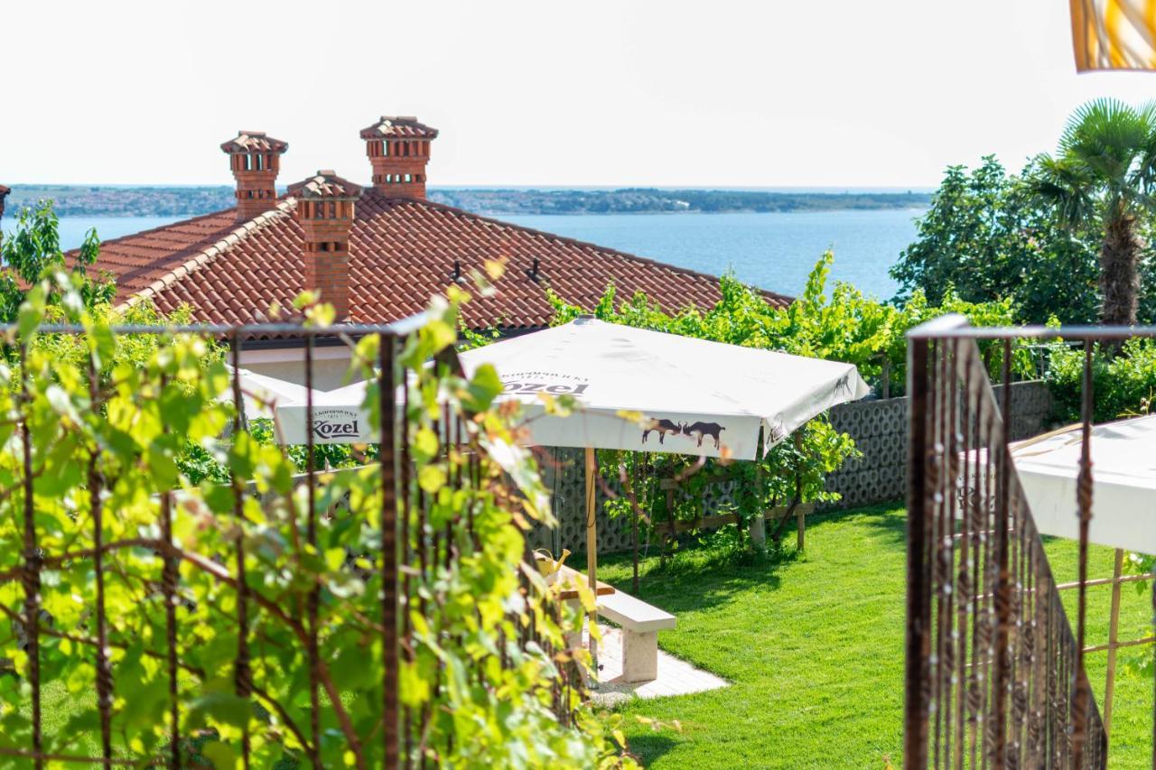 Apartments Apartim Piran Piran